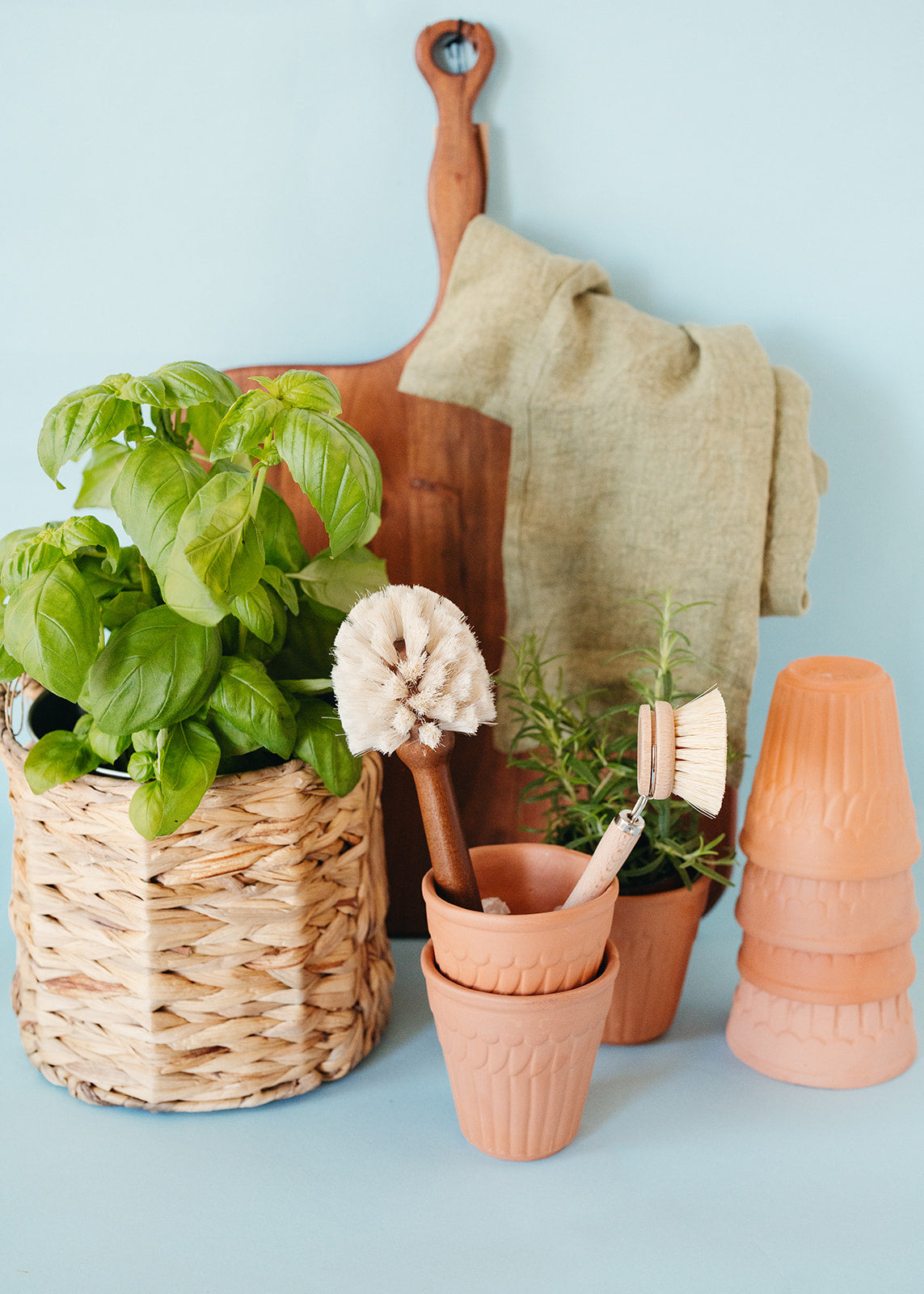 Terracotta Planter