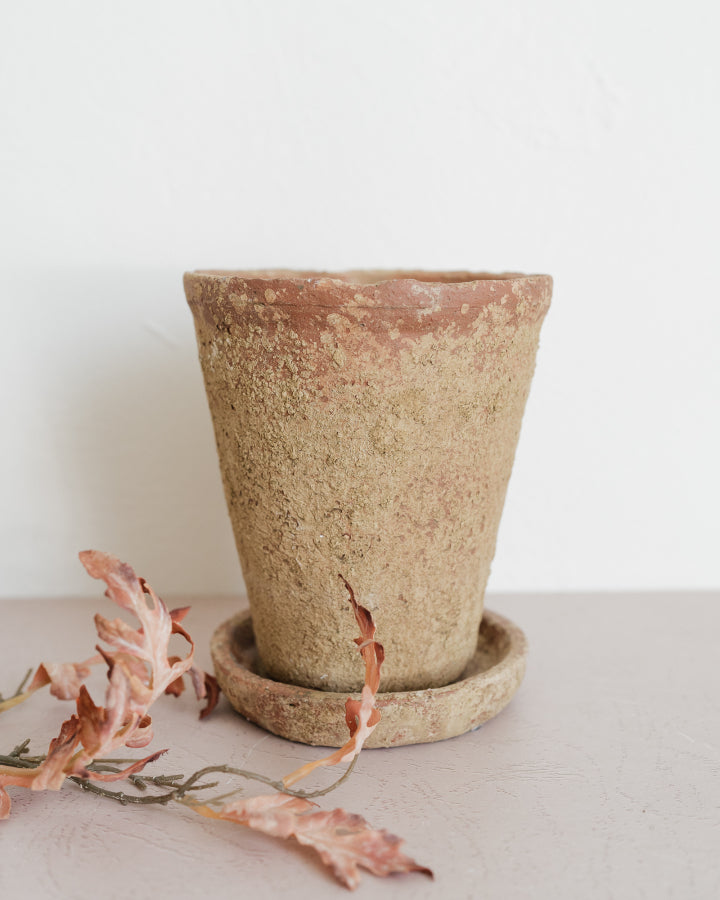 Med. Distressed Cement Planter