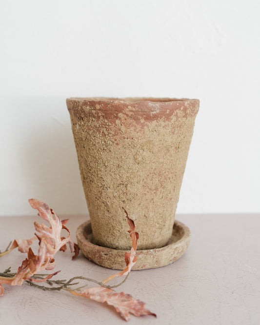Med. Distressed Cement Planter