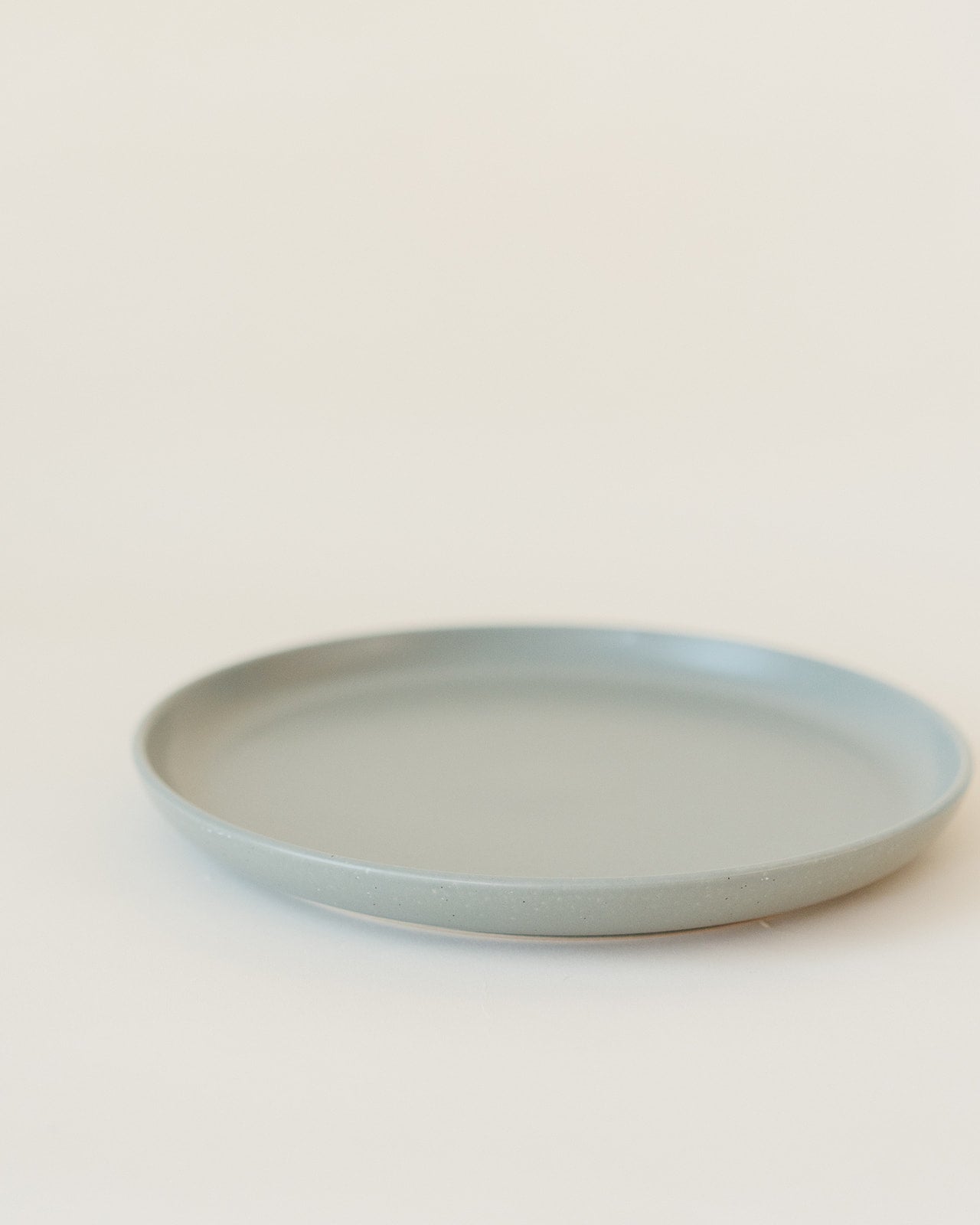 Pacifica Dinner Plate