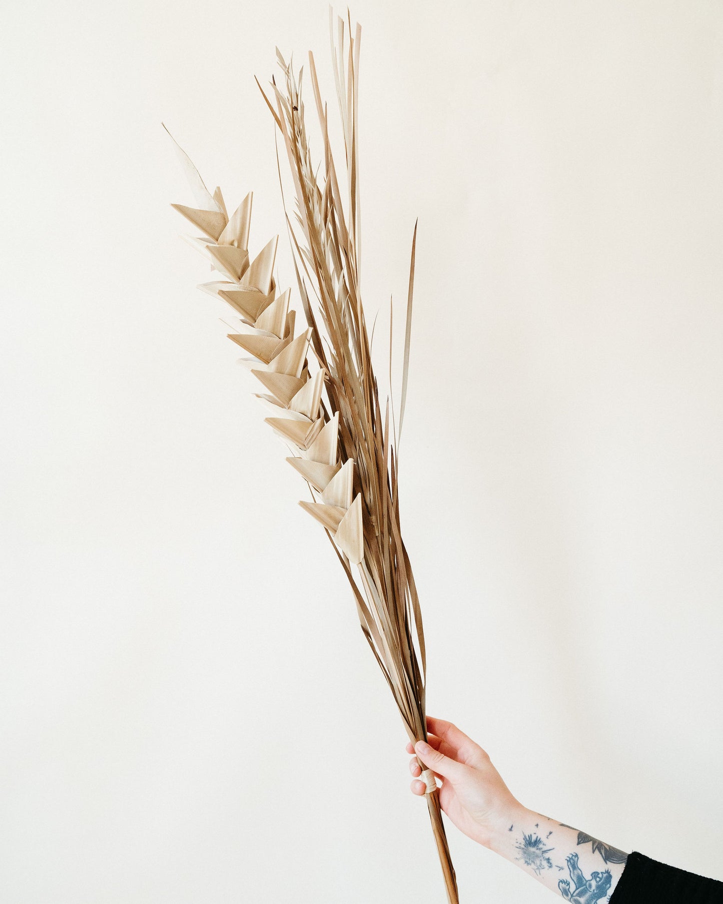 Dried Bunch of Sprigs