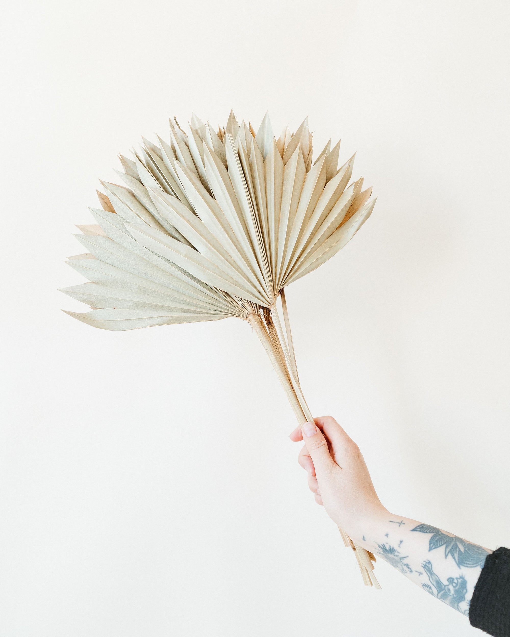 Dried Palm Bunch