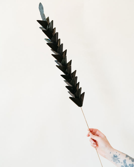 Black Ginger Flower Stem