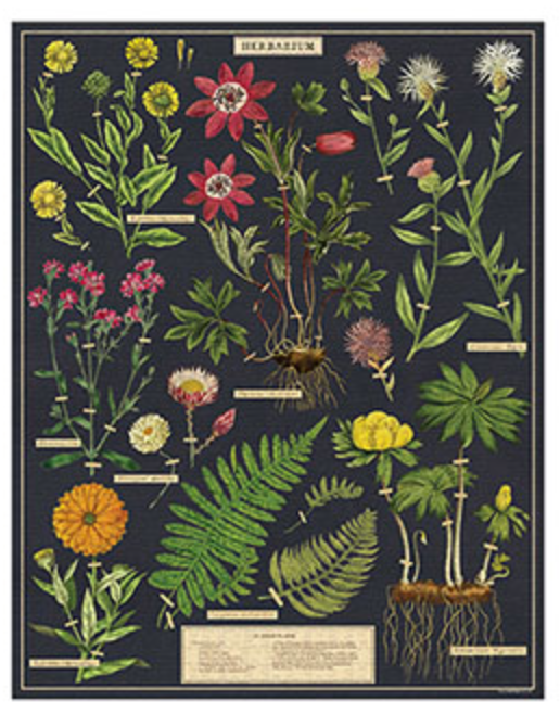 Herbarium Puzzle